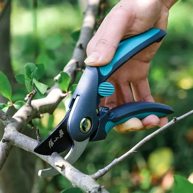 Pruning Shears