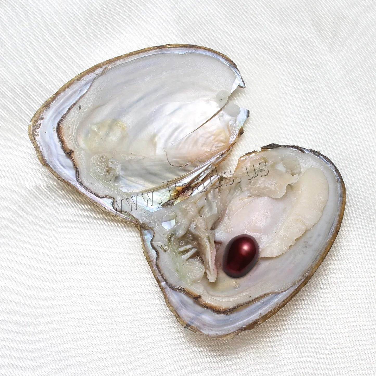 Freshwater Cultured Pearl 50Pcs/Lot 7-8mm