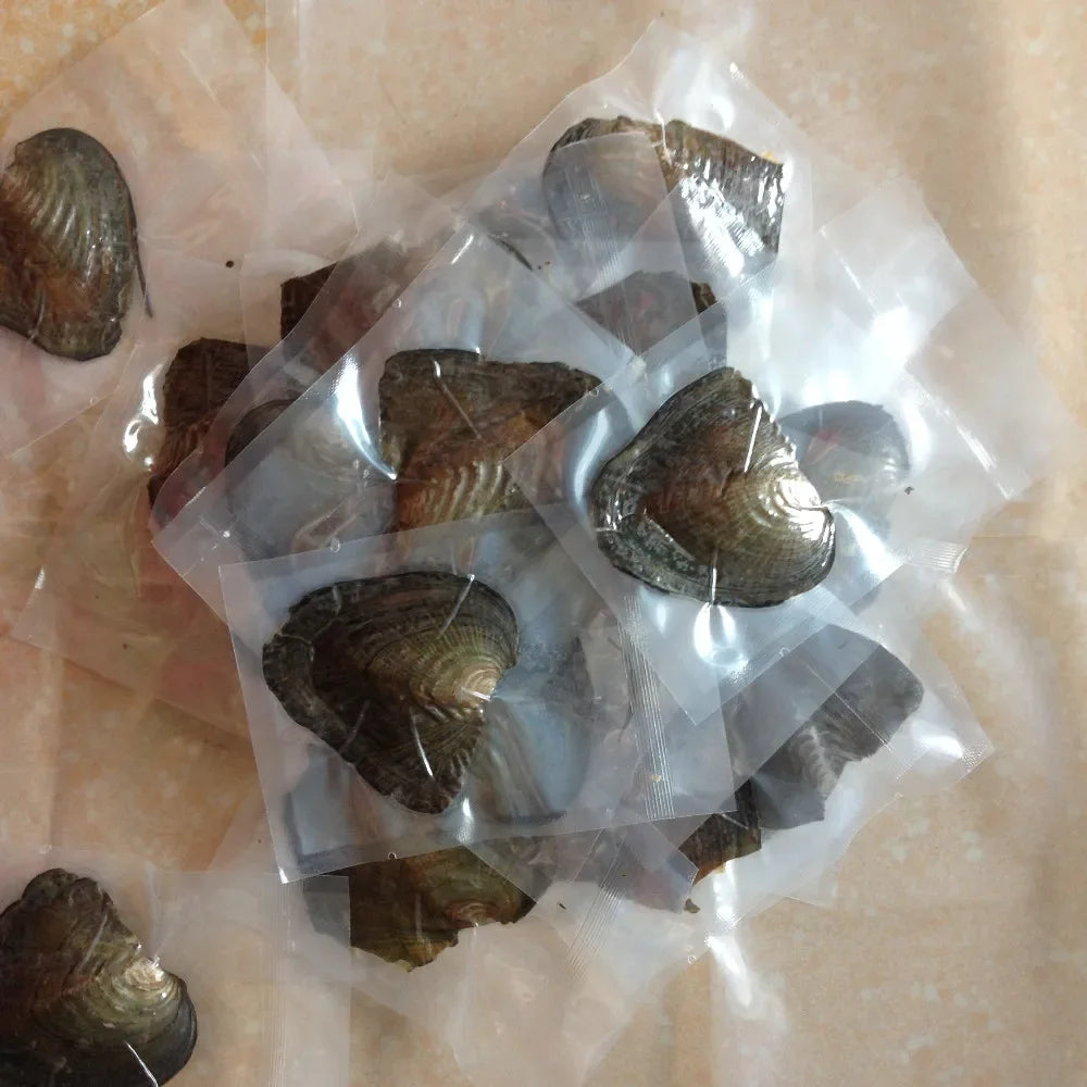 Freshwater Cultured Pearl 50Pcs/Lot 7-8mm