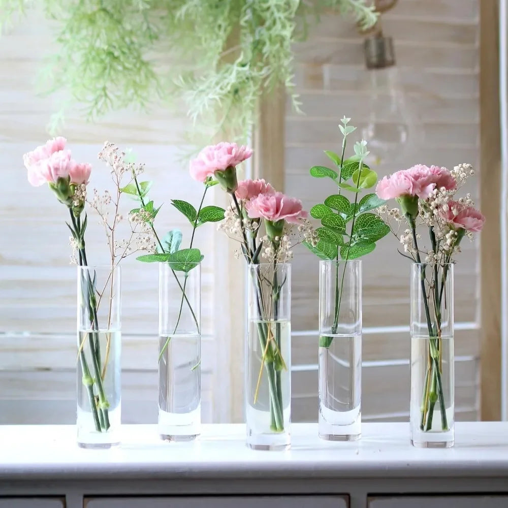 Glass Cylinder Bud Vases, Set Of 12