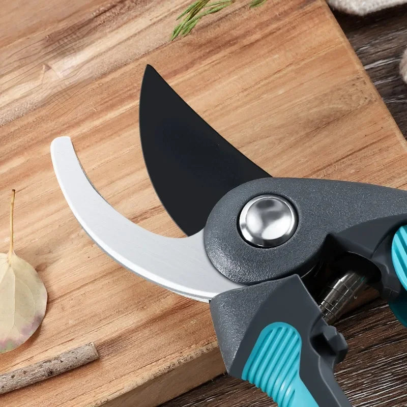 Pruning Shears