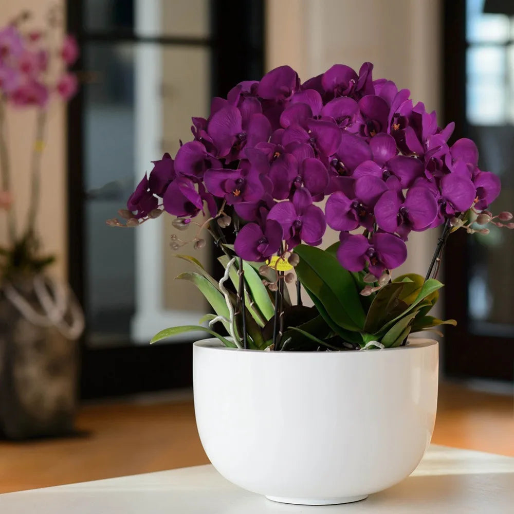 Orchids Artificial Flowers 6Piece Velvet 38 Inch