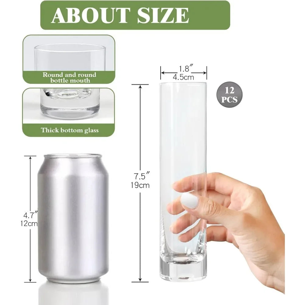 Glass Cylinder Bud Vases, Set Of 12